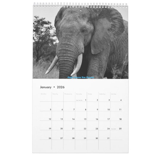 Afrikaanse Wildlife Kalender 2025 (Jan 2026)