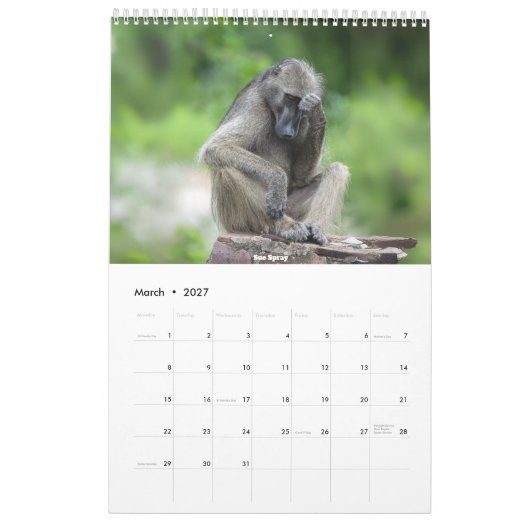 Afrikaanse Wildlife Kalender 2026 (Mar 2027)