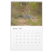 Afrikaanse Wildlife Kalender 2026 (Feb 2027)