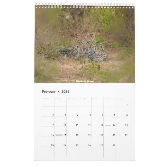 Afrikaanse Wildlife Kalender 2026 (Feb 2026)
