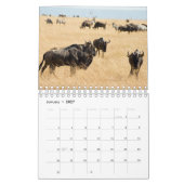 Afrikaanse Wildlife Wall Calendar Kalender (Jan 2027)