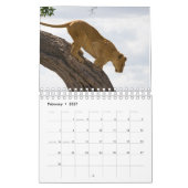 Afrikaanse Wildlife Wall Calendar Kalender (Feb 2027)