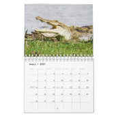 Afrikaanse Wildlife Wall Calendar Kalender (Mar 2027)