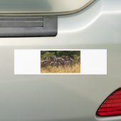 Afrikaanse Zebra coole spullen Bumpersticker (Op auto)