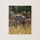 Afrikaanse Zebra coole spullen Hakuna Matata Gifts Legpuzzel (Verticaal)