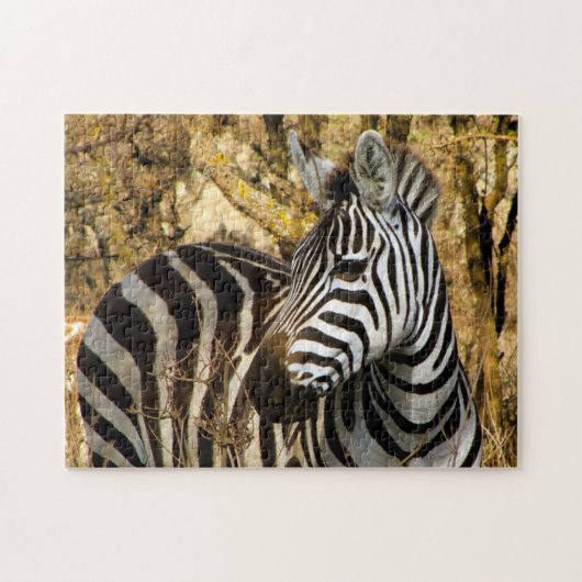 Afrikaanse Zebra Legpuzzel (Horizontaal)