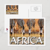 AFRIKAANSE ZEBRA (Mojisola Onifade) Briefkaart (Voorkant / Achterkant)