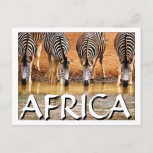 AFRIKAANSE ZEBRA (Mojisola Onifade) Briefkaart
