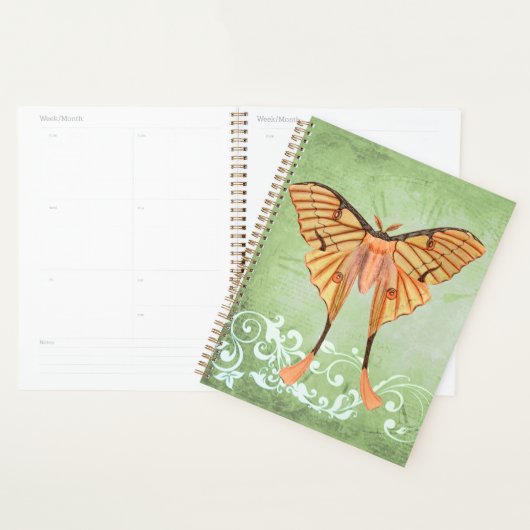 Afrikaanse zijderoute planner (Display)