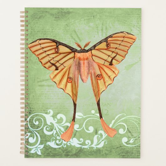 Afrikaanse zijderoute planner (Voorkant)
