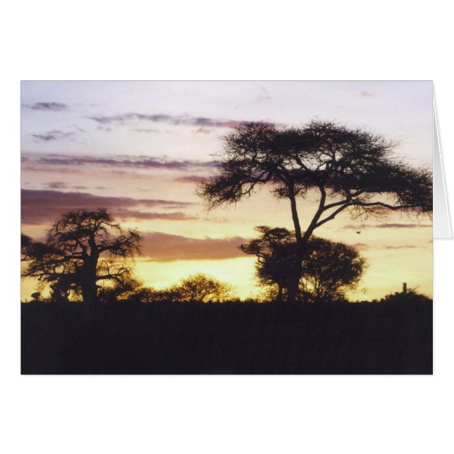 Afrikaanse zonsondergang (Voorkant Horizontaal)