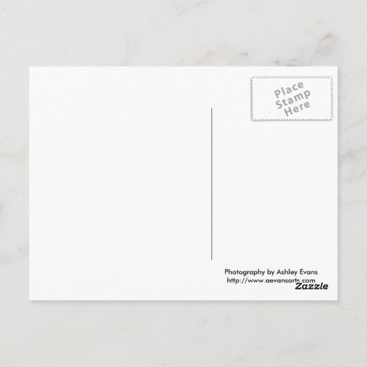 Afrikaanse zonsondergang briefkaart (Achterkant)