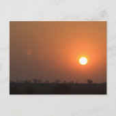 Afrikaanse zonsondergang briefkaart (Voorkant)