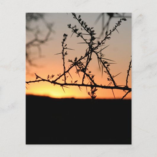 Afrikaanse zonsondergang flyer (Voorkant)