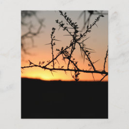 Afrikaanse zonsondergang flyer