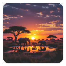 Afrikaanse Zonsondergang Majesteit Leggings Tights