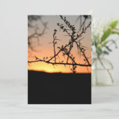 Afrikaanse zonsondergang met doornig acaciaboom si bedankkaart (Staand voorkant)