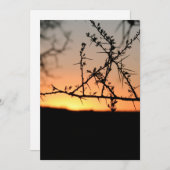 Afrikaanse zonsondergang met doornig acaciaboom si bedankkaart (Voorkant / Achterkant)
