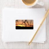 Afrikaanse zonsondergang met doornig acaciaboom si etiket (Insitu)