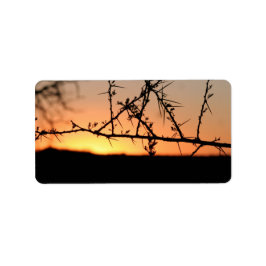 Afrikaanse zonsondergang met doornig acaciaboom si etiket