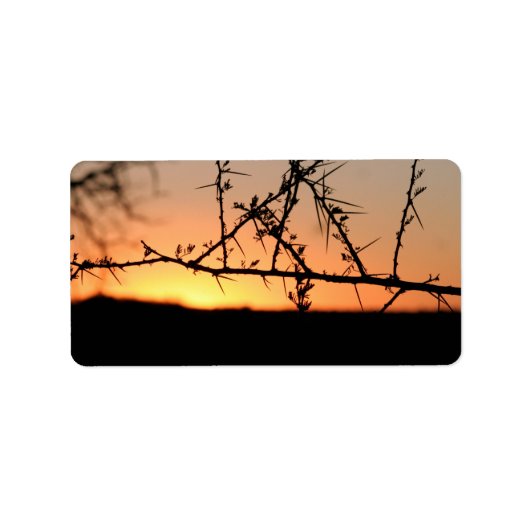 Afrikaanse zonsondergang met doornig acaciaboom si etiket (Voorkant)