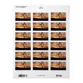 Afrikaanse zonsondergang met doornig acaciaboom si etiket (Full Sheet)