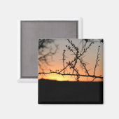 Afrikaanse zonsondergang met doornig acaciaboom si magneet (Voorkant / Achterkant)