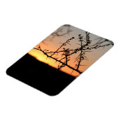 Afrikaanse zonsondergang met doornig acaciaboom si magneet (Linkerzijde)
