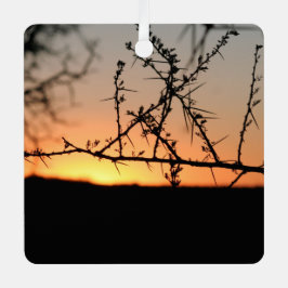 Afrikaanse zonsondergang met doornig acaciaboom si metalen ornament