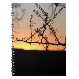 Afrikaanse zonsondergang met doornig acaciaboom si notitieboek