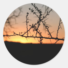 Afrikaanse zonsondergang met doornig acaciaboom si ronde sticker