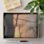 Afrikaanse zonsondergang met doornig acaciaboom si tissuepapier (Geschenk)