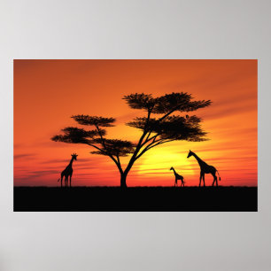 Afrikaanse zonsondergang poster