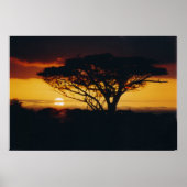 afrikaanse zonsondergang poster (Voorkant)