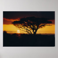 afrikaanse zonsondergang
