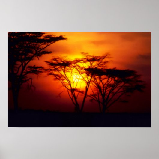 Afrikaanse Zonsondergang Poster (Voorkant)