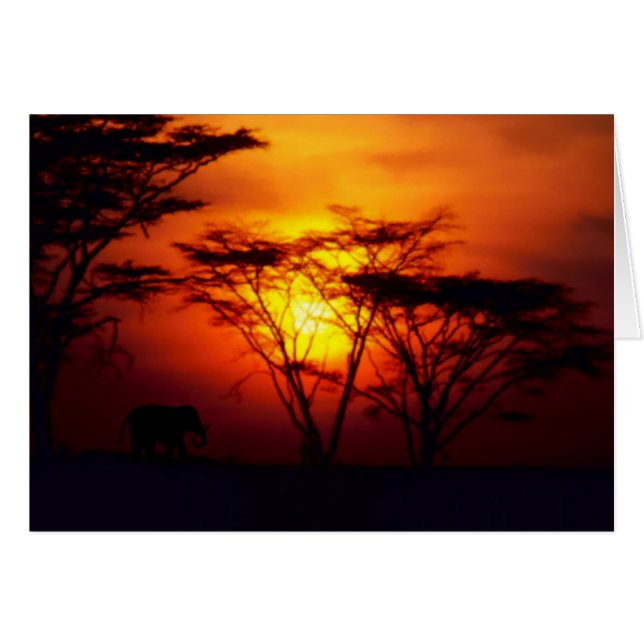 Afrikaanse Zonsondergangkaart (Voorkant Horizontaal)