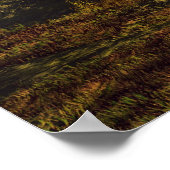 Afrikaanse zonsopgang poster (Hoek)