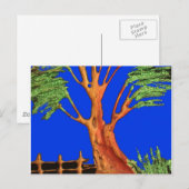 Afrika's Acacia Beauty: Serengeti Serenity. Briefkaart (Voorkant / Achterkant)