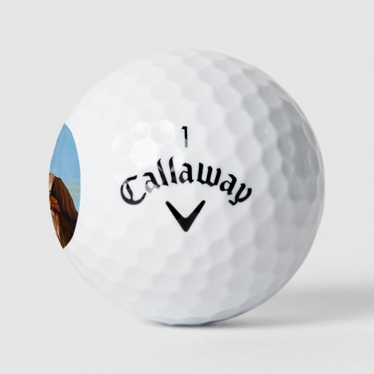 Afro-Amerikaanse vliegeniers gevechtspiloten WO2 Golfballen (Logo)