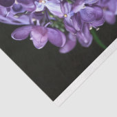  Afro-Amerikaanse vrouw decoupage Tissuepapier (Detail)