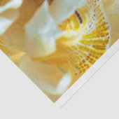  Afro-Amerikaanse vrouw decoupage Tissuepapier (Detail)