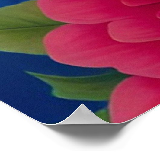 Afro-dame met pet van zeester poster (Hoek)