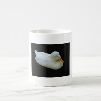 afro-eenden, AFRO, Duck Koffiemok