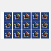 Afro Eenhoorn magische ster Labels (Vel)