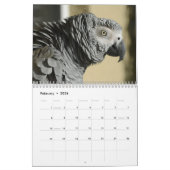 Afro Gray Parrot 2015, aangepast gedrukt kalender (Feb 2026)