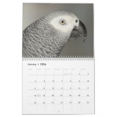 Afro Gray Parrot 2015, aangepast gedrukt kalender (Jan 2026)