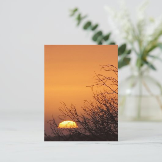 Afscheid van het Briefkaart van Another Day Sunset (Staand voorkant)