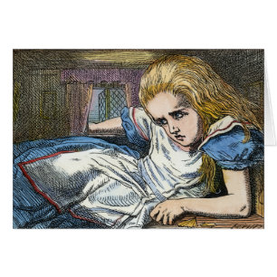 AFSCHRIJVING IN WONDERLAND