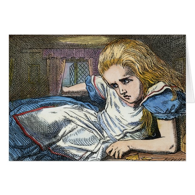 AFSCHRIJVING IN WONDERLAND (Voorkant Horizontaal)